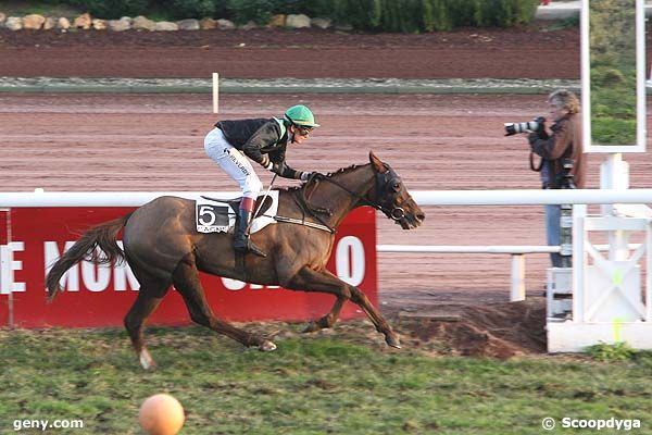 22/12/2008 - Cagnes-sur-Mer - Prix du Comte de Nice : Result