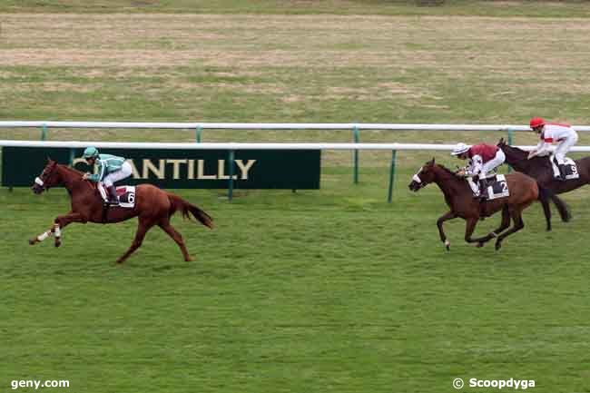 16/07/2010 - Chantilly - Prix de la Loge : Arrivée