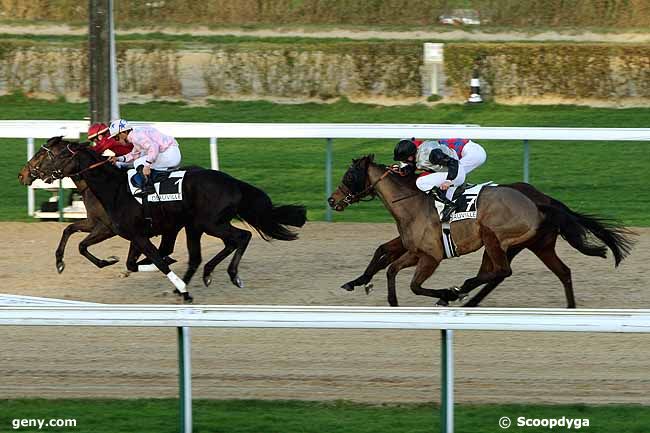 02/01/2012 - Deauville - Prix de Ryes : Arrivée