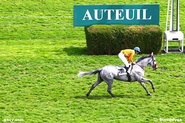 17/04/2013 - Auteuil - Prix Aristote : Arrivée