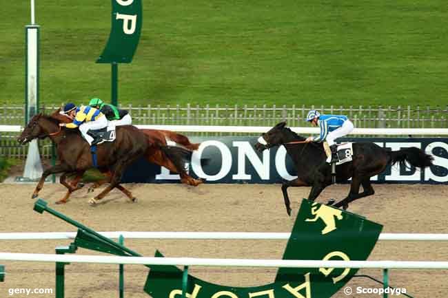 04/11/2013 - Chantilly - Prix des Ronds Verneuil : Ankunft