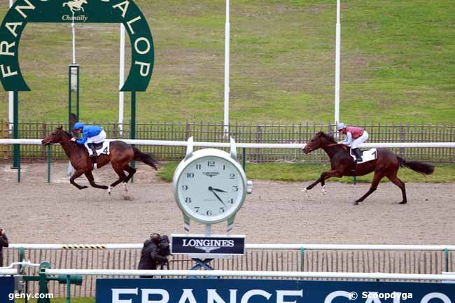 21/11/2017 - Chantilly - Prix des Daguets : Result