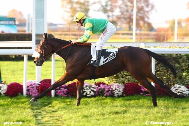 14/11/2018 - Angers - Prix David d'Angers : Ankunft