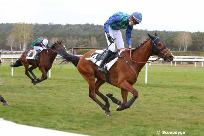 03/04/2021 - Fontainebleau - Grand Steeple-Chase Cross Country de Fontainebleau : Result