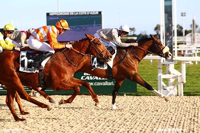 15/02/2023 - Cagnes-sur-Mer - Prix des Maures : Arrivée