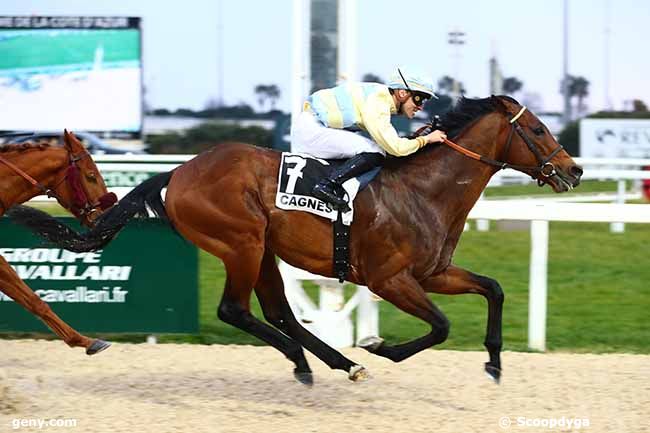 18/02/2023 - Cagnes-sur-Mer - Prix des Colettes-Bréguières - Prix du Gard : Arrivée