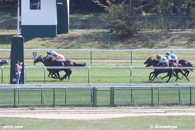 10/09/2023 - ParisLongchamp - Qatar Prix du Petit Couvert : Arrivée