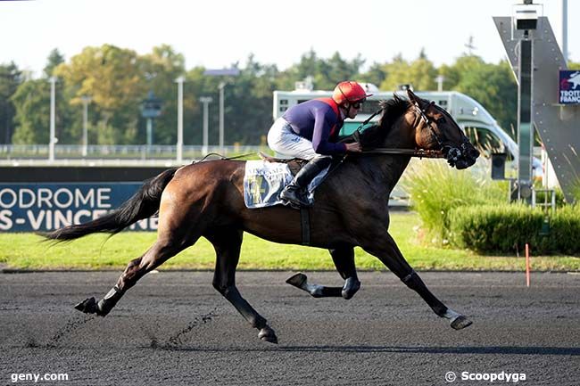 17/09/2024 - Vincennes - Prix Enis : Arrivée