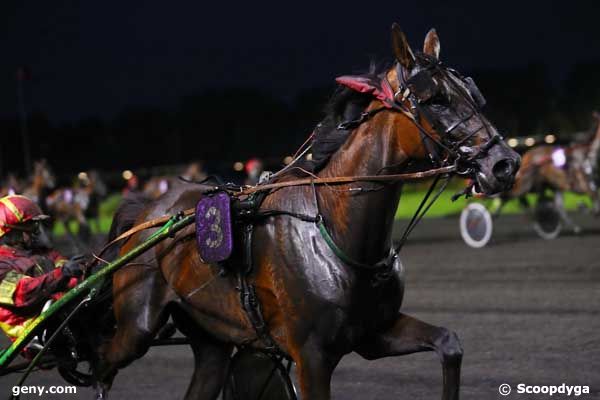 24/09/2024 - Vincennes - Prix Myrrha : Result