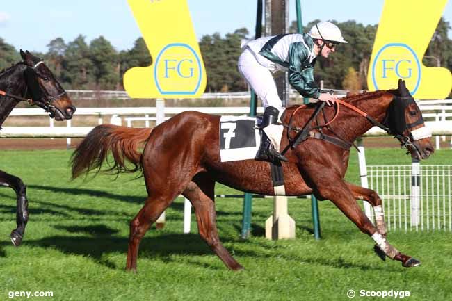 20/11/2024 - Fontainebleau - Prix Colonel Bernard Marlin : Result