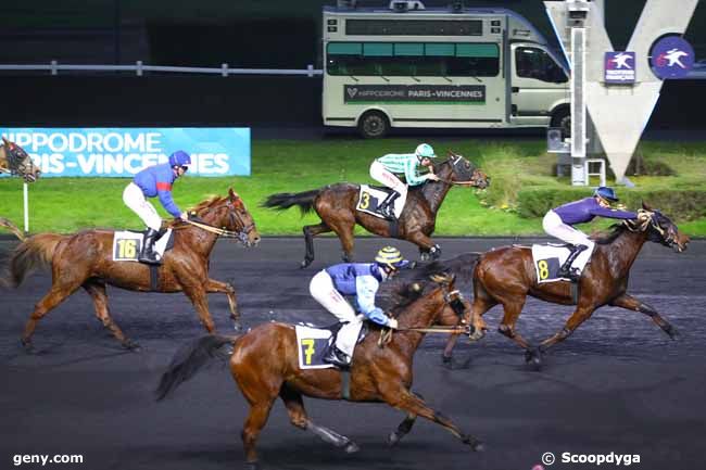 14/12/2024 - Vincennes - Prix d'Apt : Arrivée