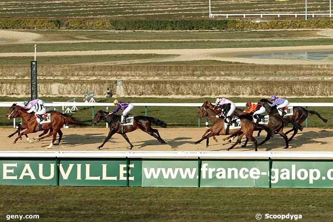 11/03/2010 - Deauville - Prix de Saint-Vaast-en-Auge : Arrivée