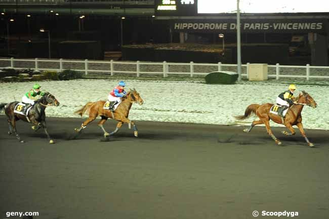 30/11/2010 - Vincennes - Prix Ottilia : Arrivée