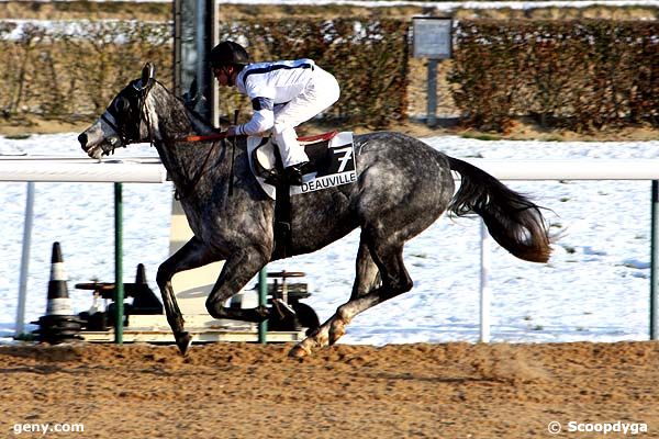 21/12/2010 - Deauville - Prix du Home : Result