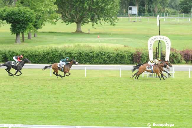 11/06/2013 - Maisons-Laffitte - Prix de Clairefontaine-en-Yvelines : Ankunft