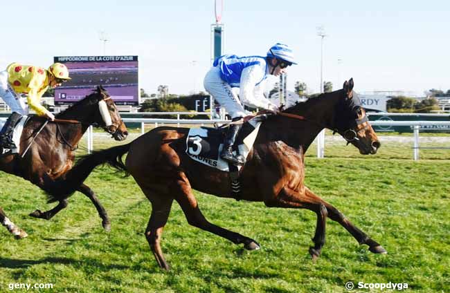 30/01/2019 - Cagnes-sur-Mer - Prix de Cimiez : Arrivée