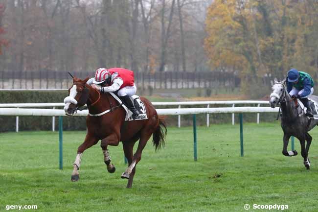 30/11/2022 - Compiègne - Prix du Tréport : Arrivée