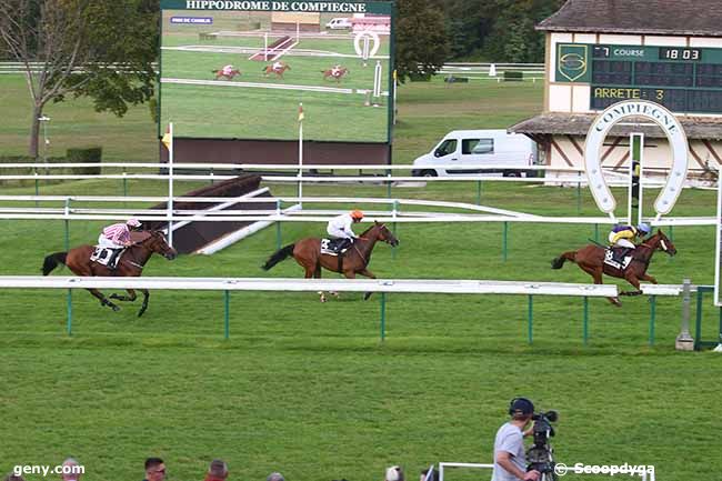 26/09/2023 - Compiègne - Prix de Chablis : Arrivée