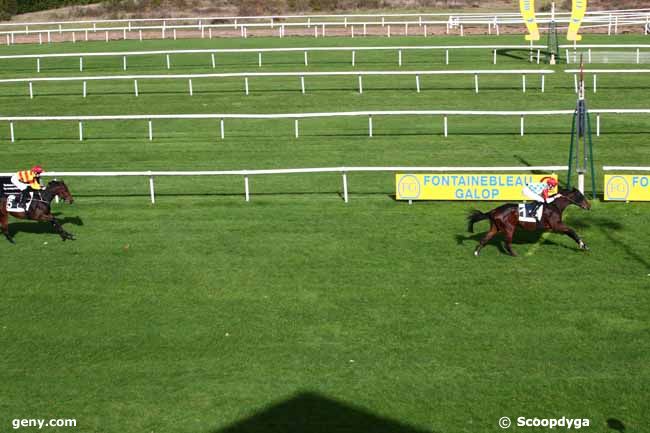 07/11/2023 - Fontainebleau - Prix des Pins Noirs : Arrivée