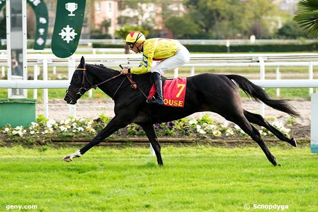 11/11/2023 - Toulouse - Prix de la République du Sénégal : Arrivée