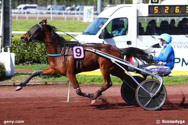 10/04/2024 - Lyon-La Soie - Prix des 15 ans de l'Hippodrome - Bordeaux : Arrivée