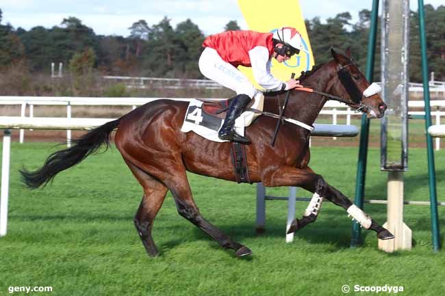 20/11/2024 - Fontainebleau - Prix Henry Maze-Sencier : Result