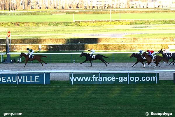 12/12/2007 - Deauville - Prix de Bréhal : Arrivée