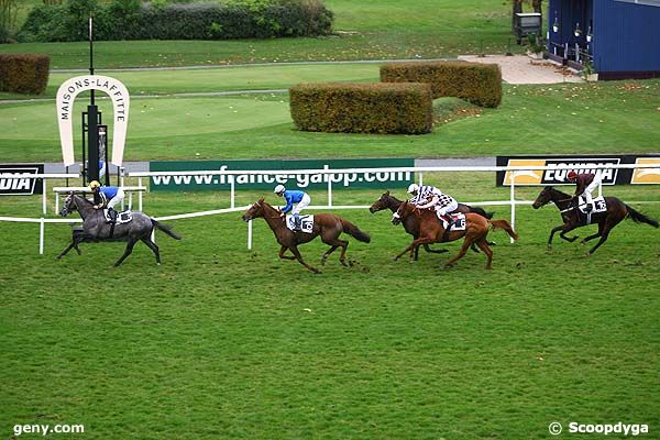 10/11/2008 - Maisons-Laffitte - Prix Pleben : Arrivée