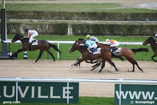 20/12/2008 - Deauville - Prix du Buff : Arrivée