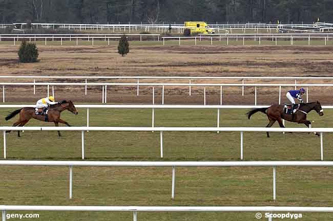 20/02/2009 - Fontainebleau - Prix de la Société des Courses de Craon : Result