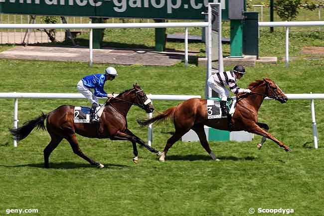 28/05/2010 - Saint-Cloud - Prix Linamix : Arrivée