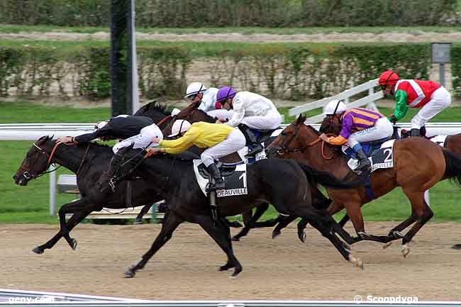 26/08/2011 - Deauville - Prix de la Louvière : Result