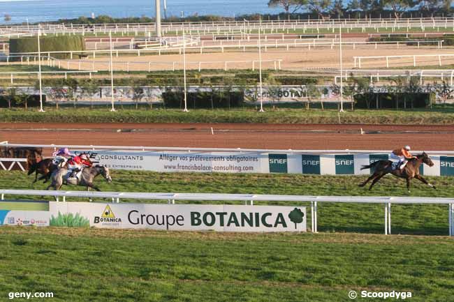 19/12/2011 - Cagnes-sur-Mer - Prix de Cambridge : Arrivée