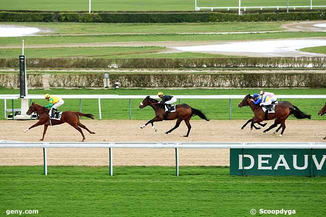 02/01/2012 - Deauville - Prix du Merlerault : Result