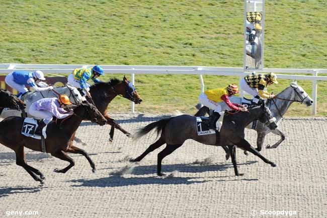 22/02/2012 - Cagnes-sur-Mer - Prix de Sainte-Maxime : Result