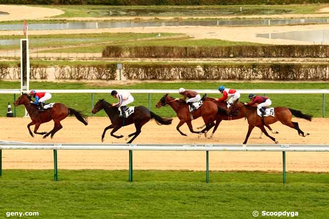 29/12/2013 - Deauville - Prix de Mastainville : Arrivée