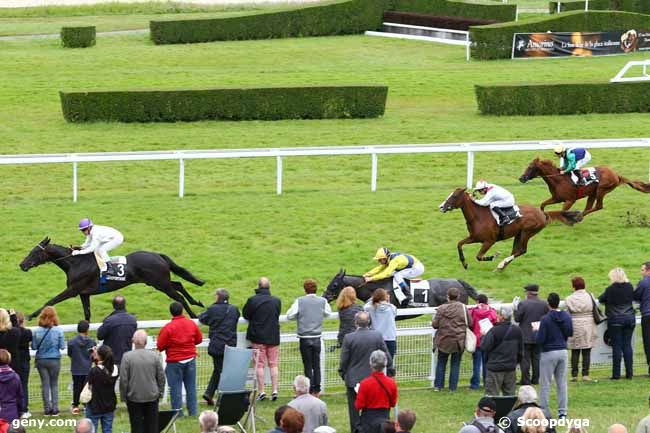 22/08/2014 - Clairefontaine-Deauville - Prix des Fuschias : Ankunft