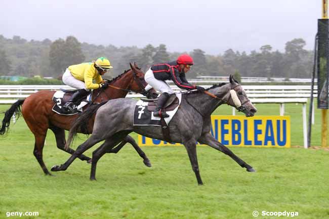 16/09/2015 - Fontainebleau - Prix Anne Févre : Result