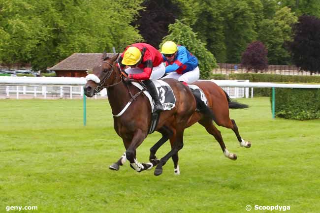 31/05/2022 - Compiègne - Prix du Grand Maître : Arrivée