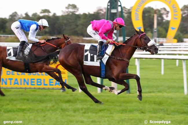 12/09/2022 - Fontainebleau - Prix de la Table du Grand Maître : Ankunft