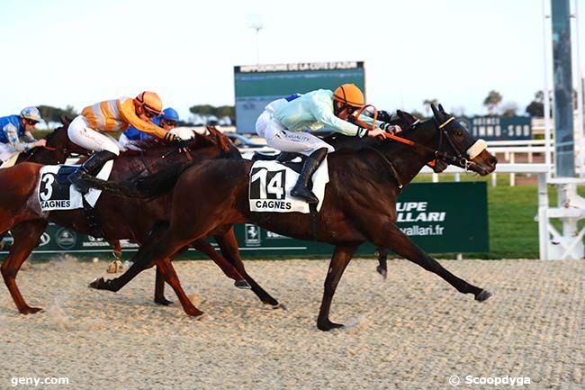 15/02/2023 - Cagnes-sur-Mer - Prix du Vaucluse : Arrivée