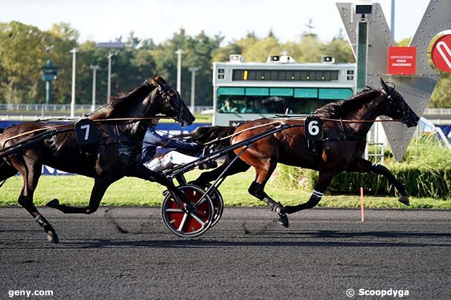 03/10/2023 - Vincennes - Prix Phaedra : Ankunft