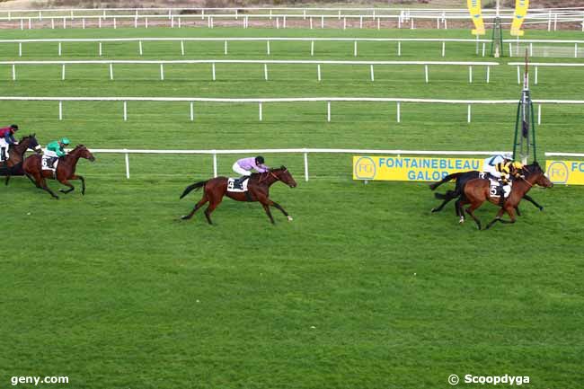 07/11/2023 - Fontainebleau - Prix Jour de Galop : Arrivée