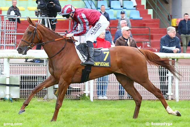 31/05/2024 - Compiègne - Prix de l'Ailette : Arrivée