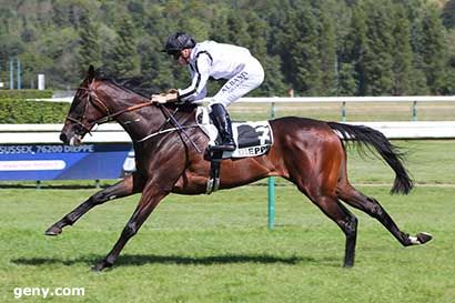 27/08/2024 - Dieppe - Prix du Vallon des Chênes : Arrivée