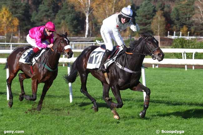 20/11/2024 - Fontainebleau - Prix de la Route des Deux Soeurs : Arrivée