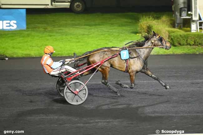 15/12/2024 - Vincennes - Prix Albert Rayon : Arrivée