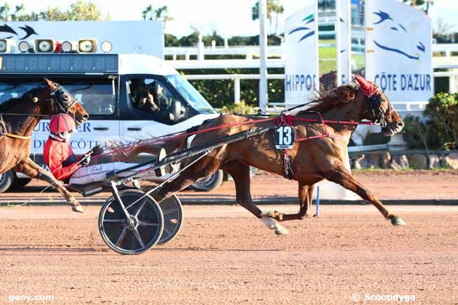 09/01/2025 - Cagnes-sur-Mer - Prix Méteor II : Ankunft