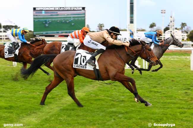 20/01/2025 - Cagnes-sur-Mer - Prix Paul-Antoine Pulvenis de Seligny : Arrivée