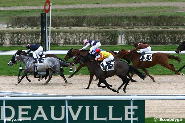 28/02/2008 - Deauville - Prix du Cap Gris Nez : Arrivée